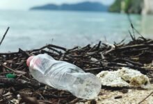 close up photo of plastic bottle