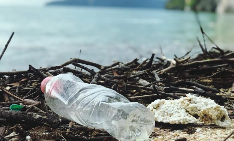 close up photo of plastic bottle