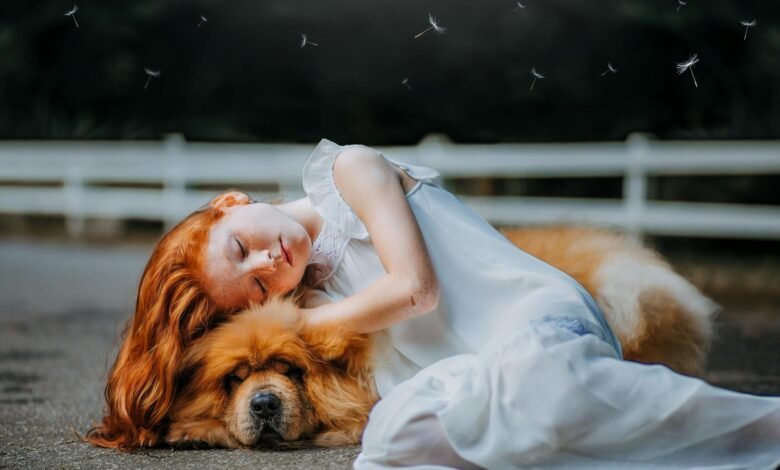 girl and dog sleeping on gray pavement