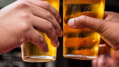 two persons holding drinking glasses filled with beer