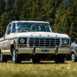 old ford pickup truck in a grassy parking lot