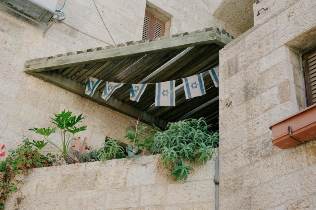 green leafed plants on gray concrete building