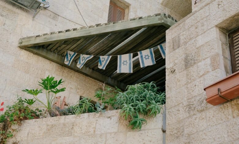green leafed plants on gray concrete building