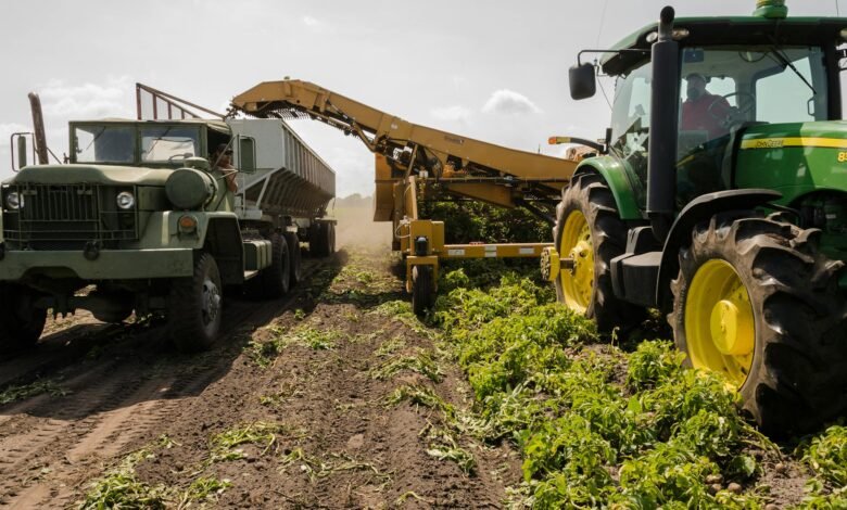 machine harvest