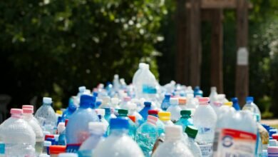 assorted plastic bottles