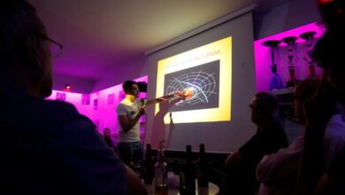 Un café con charla científicas en Burgos 27 Pint of Science lagaceta.es