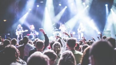 crowd in front of people playing musical instrument during nighttime