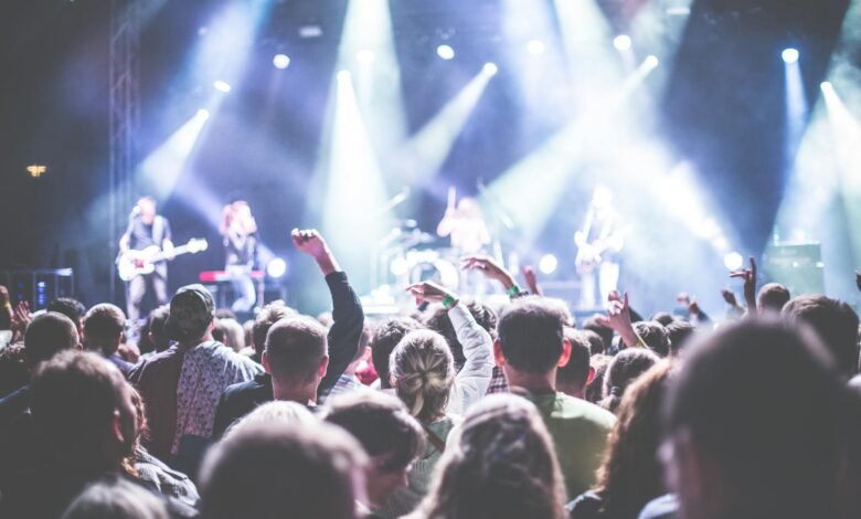 crowd in front of people playing musical instrument during nighttime