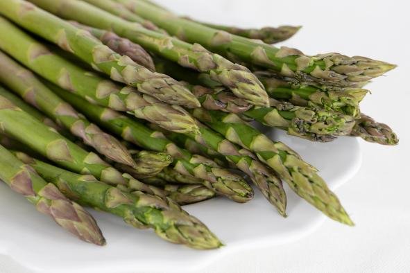 La Unión Europea registra la nueva Indicación Geográfica Protegida ‘Espárrago Verde de Guadalajara’ 3 lagaceta.es