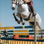 an equestrian riding her horse jumping an obstacle