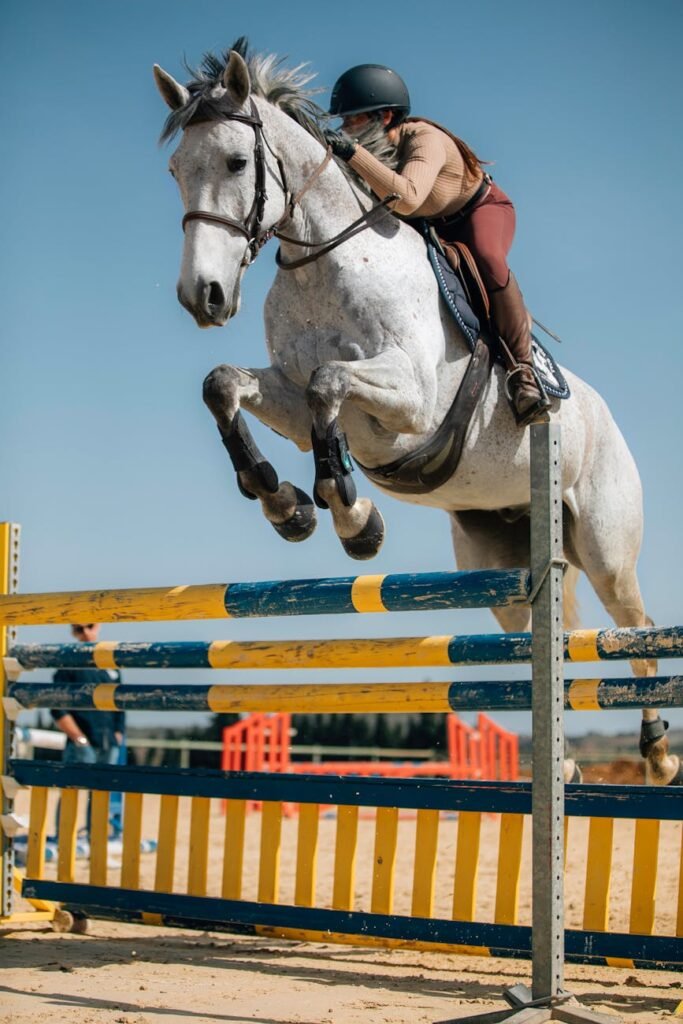 an equestrian riding her horse jumping an obstacle