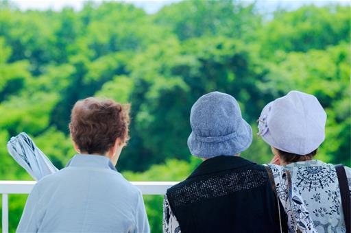 El Imserso adjudica el nuevo programa de turismo con casi 880.000 plazas 1 lagaceta.es